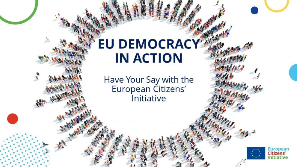 EU Democracy in Action
