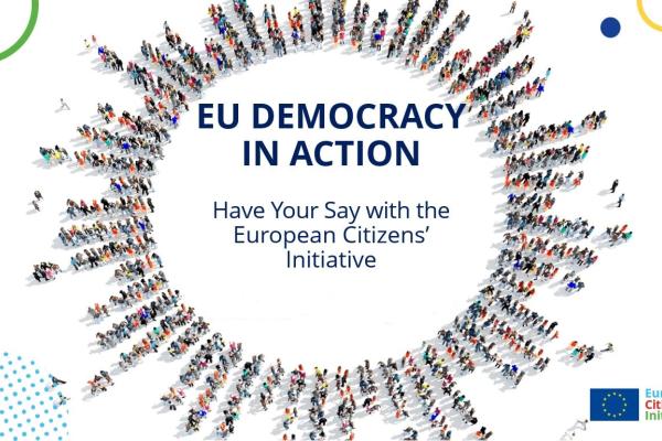 EU Democracy in Action